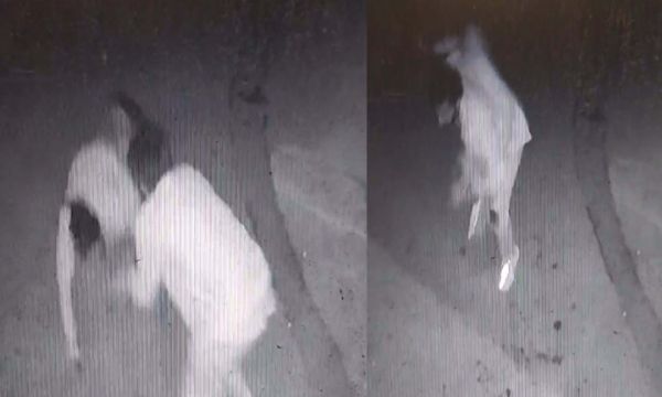 İzmir'de cinayetle biten kavga kamerada!